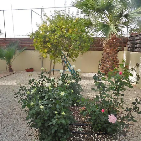 Favor - 3 Bed With Pool Close To Nissi