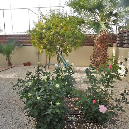 Favor - 3 Bed With Pool Close To Nissi